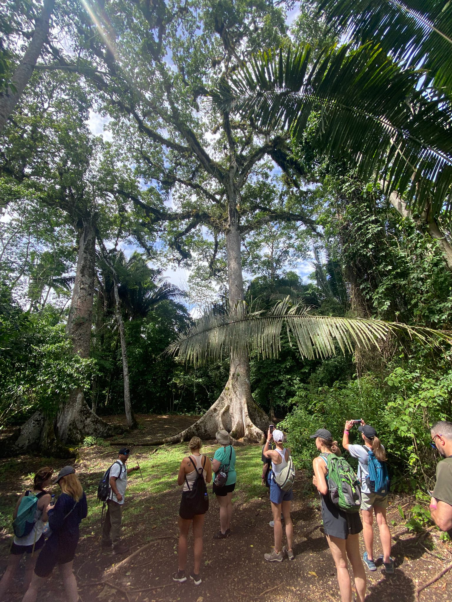 Visit Caracol Mayan Ruins for New Year’s Day 2026